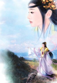 风舞飞花(出书版)